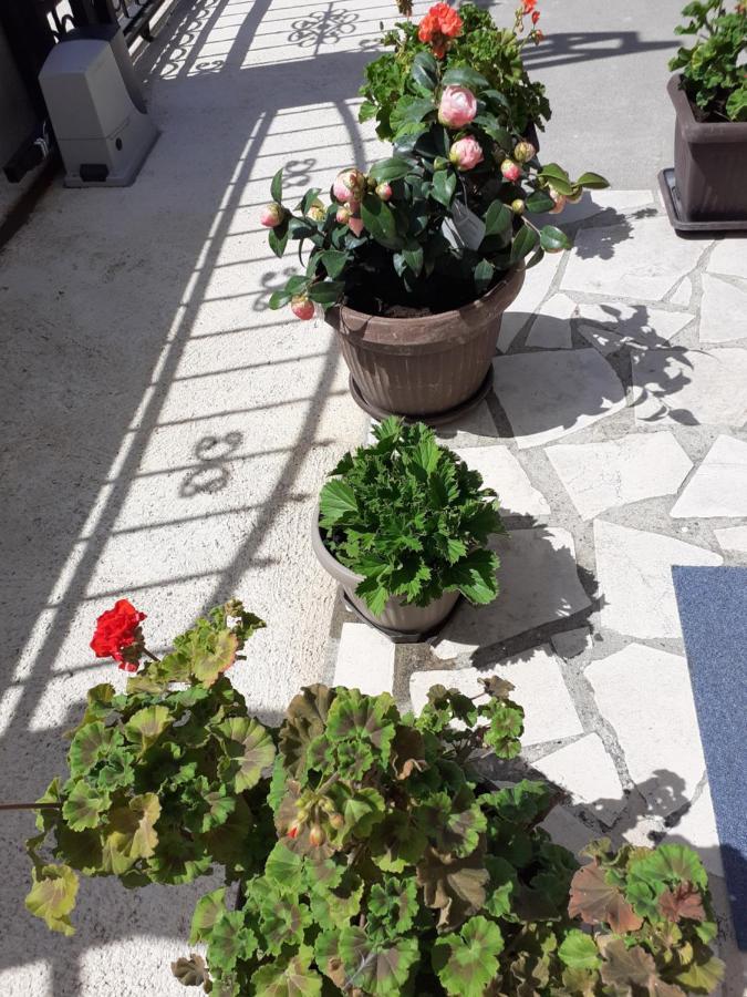 Apartment K2 Radanovići エクステリア 写真